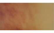 Cerrad Płytki Podłogowe Jesienny Liść  300x148x11 mm gładkie
